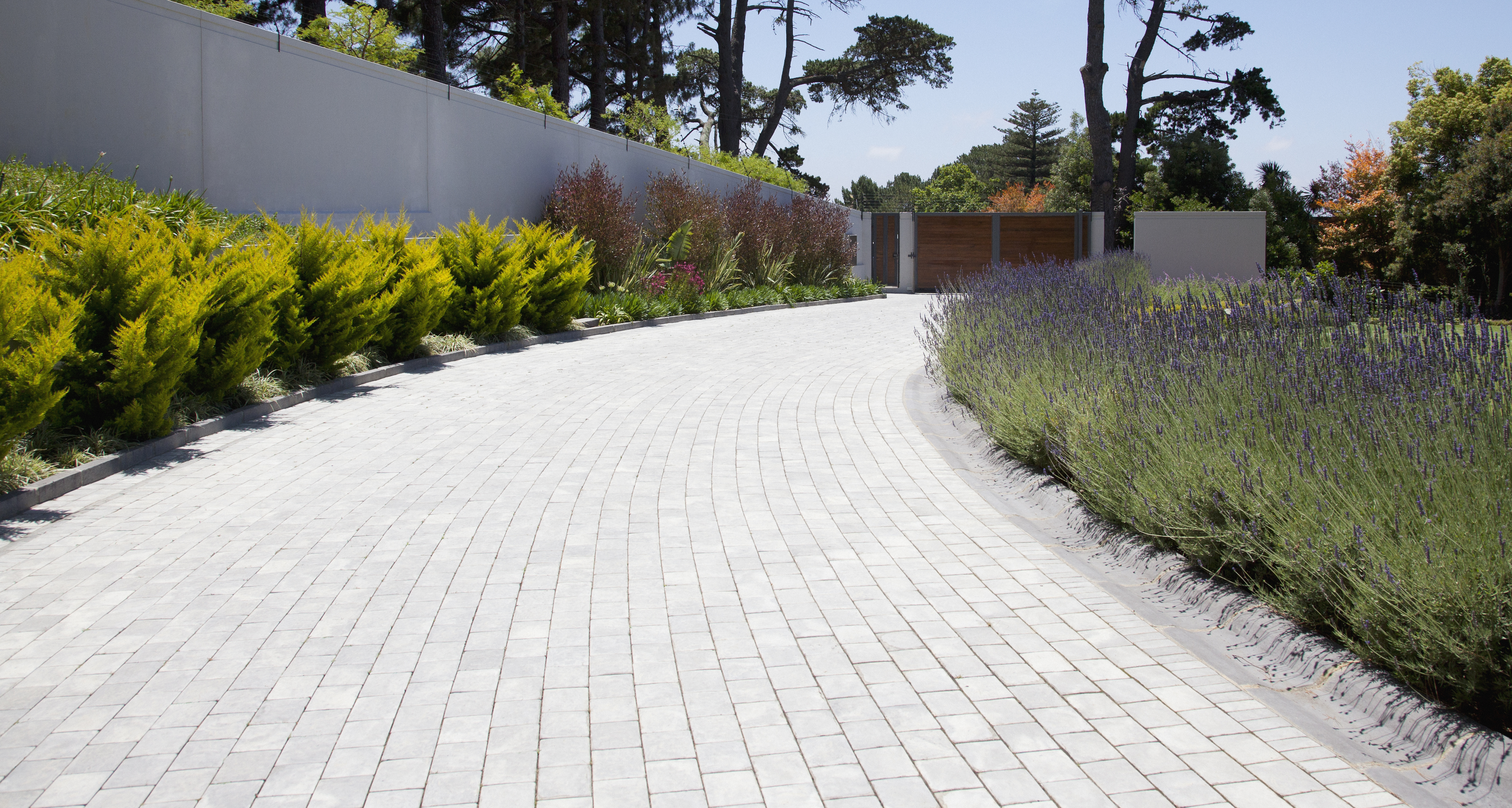 Plants along cobblestone driveway
