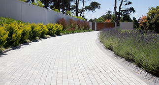 A cobblestone driveway with plants on both sides