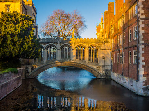 Our Big Plans for Cambridge