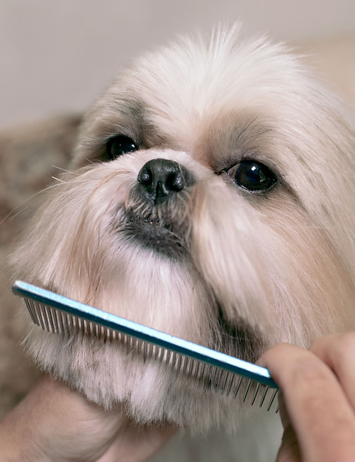 Combing the Fur