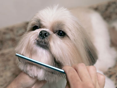 Combing the Fur