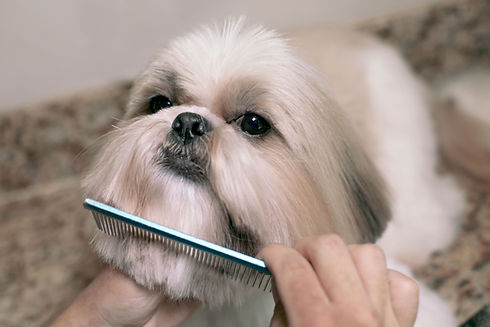 Combing the Fur