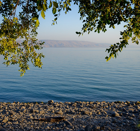 Serene Lakeside View