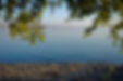 Serene Lakeside View