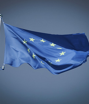 European Union Flag