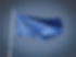 European Union Flag