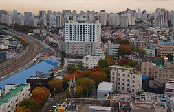 City Landscape