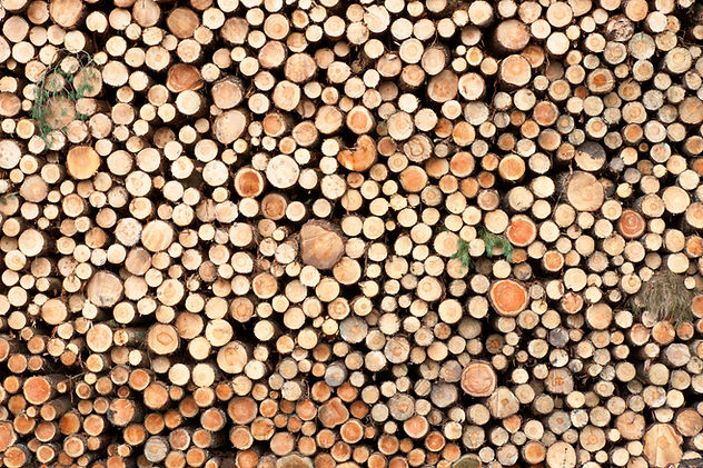 Close-up view of a stack of timber logs.