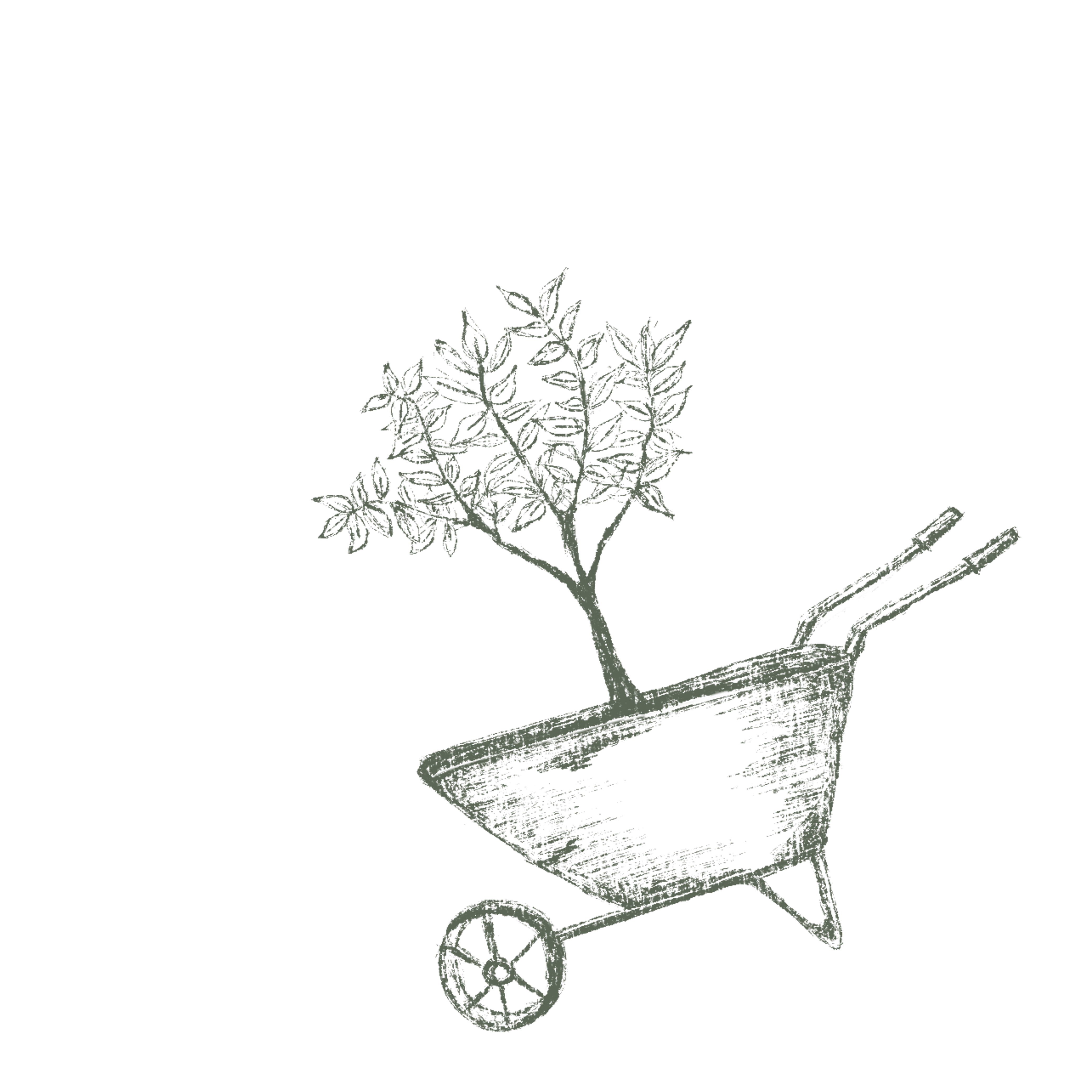 Wheelbarrow