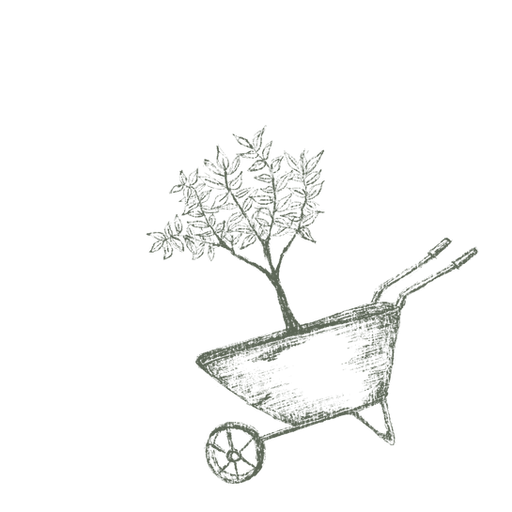 Wheelbarrow