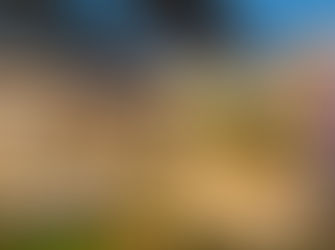 Adana Davet Evi Fotoğrafçısı