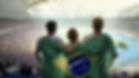 Sport Fans
