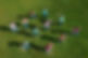 People hula hooping on grass