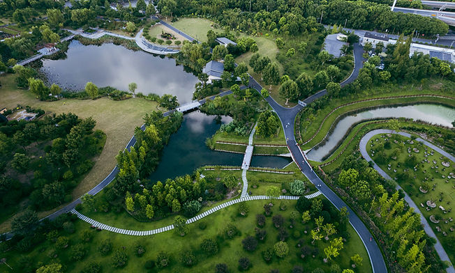 Aerial View of Public Park