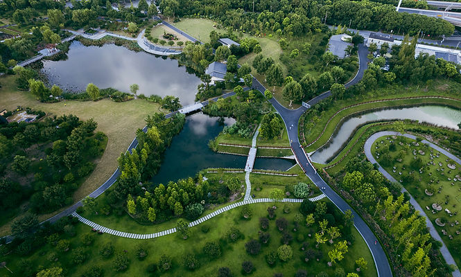Aerial View of Public Park