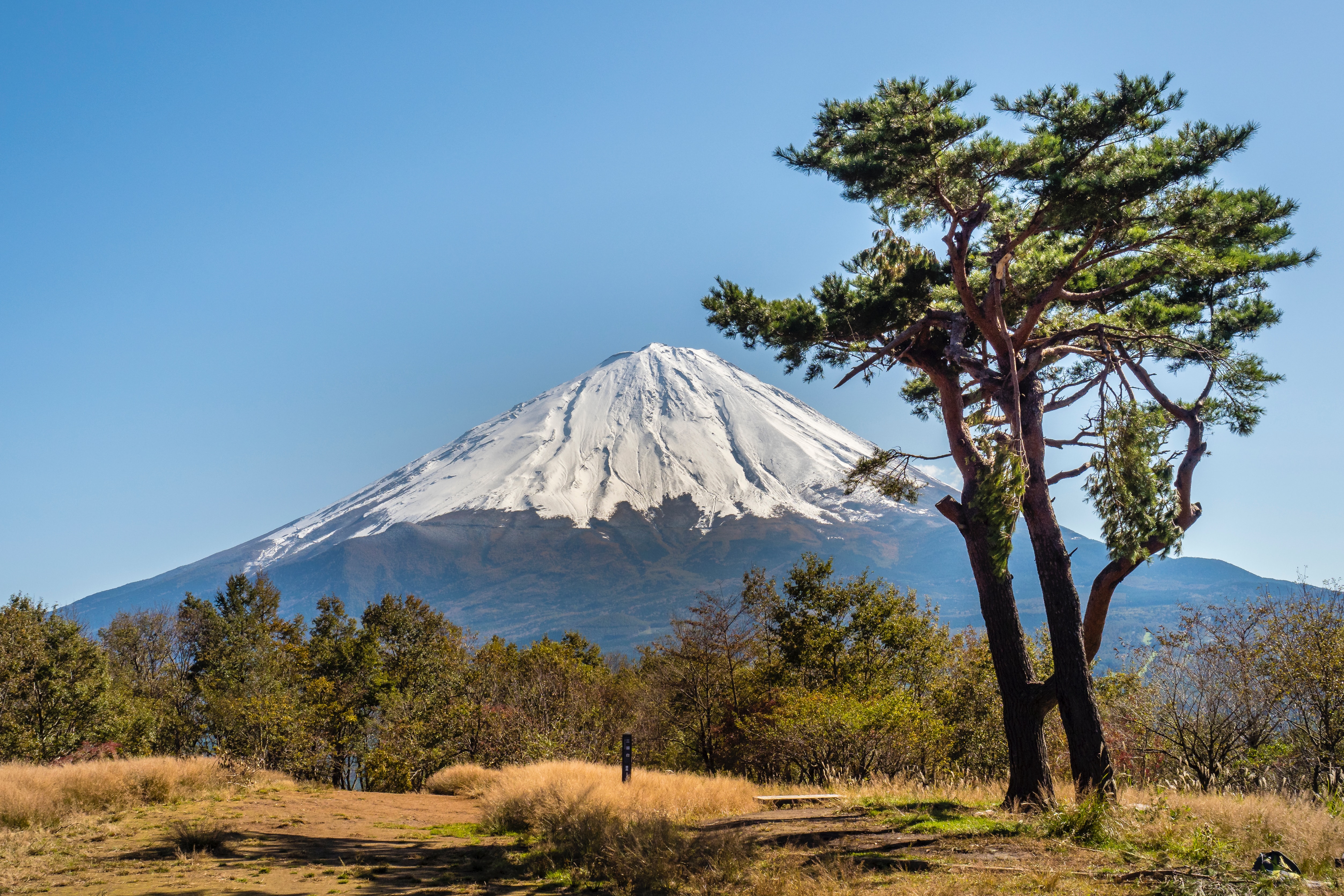 富士山と龍の伝説