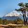 富士山のある風景