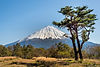 Mount Fuji in the Background