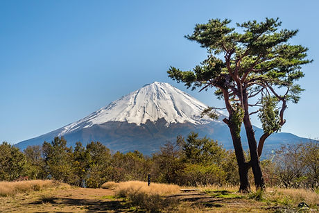 Le mont Fuji en arrière-plan