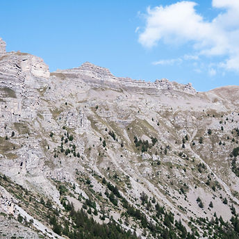 Pyrenees