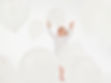 Playing with White Balloons