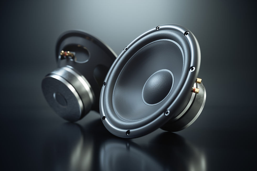 Pair Of Speakers