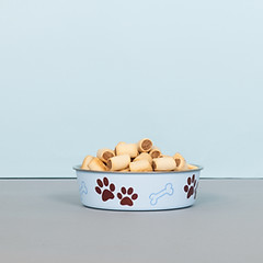 Dog Treats in Bowl