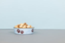 Dog Treats in Bowl