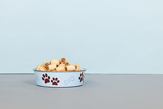 Dog Treats in Bowl