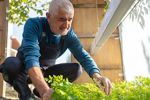 Le jardinier au travail