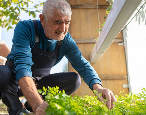 Complémentaire santé 60+