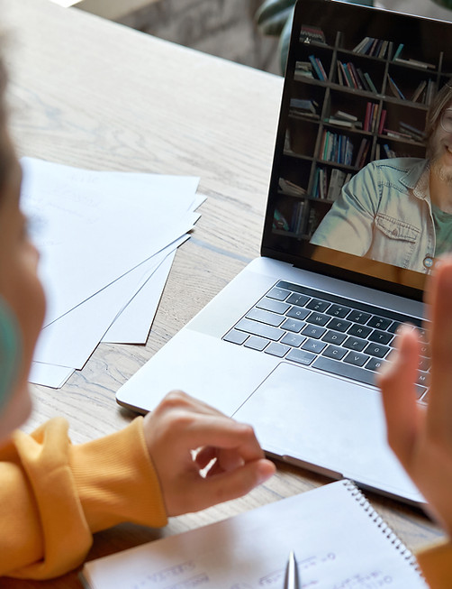 Virtual Meeting Interaction