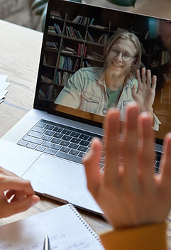 Virtual Meeting Interaction