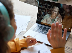 Virtual Meeting Interaction