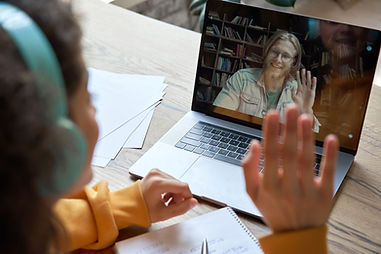 Virtual Meeting Interaction