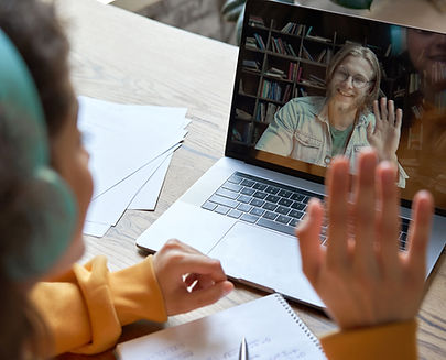 Virtual Conference