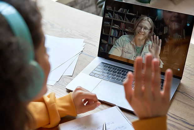 Virtual Meeting Interaction