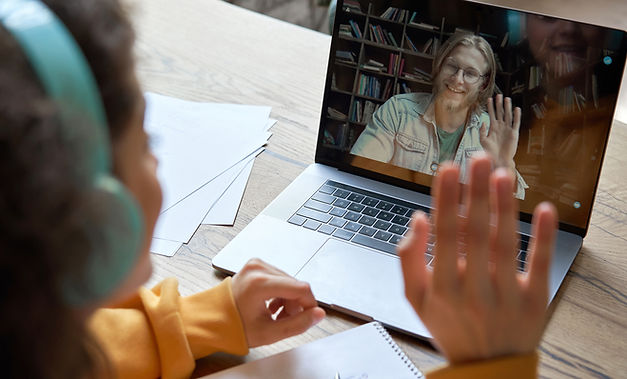 Virtual Conference