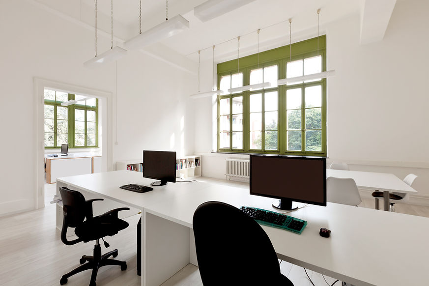 Minimalist office with green-framed windows and facing desks