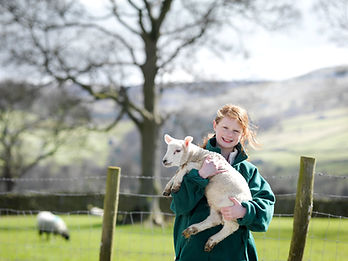 Child holding a lamb