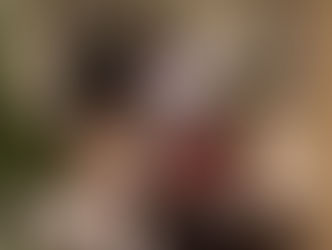 STORM SEASON READY: THE FUTURE OF THE AUSSIE BACKYARD