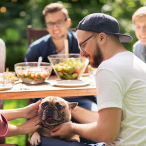 From First Leash to Lifelong Bond: A Guide for New and Special Needs Pet Parents