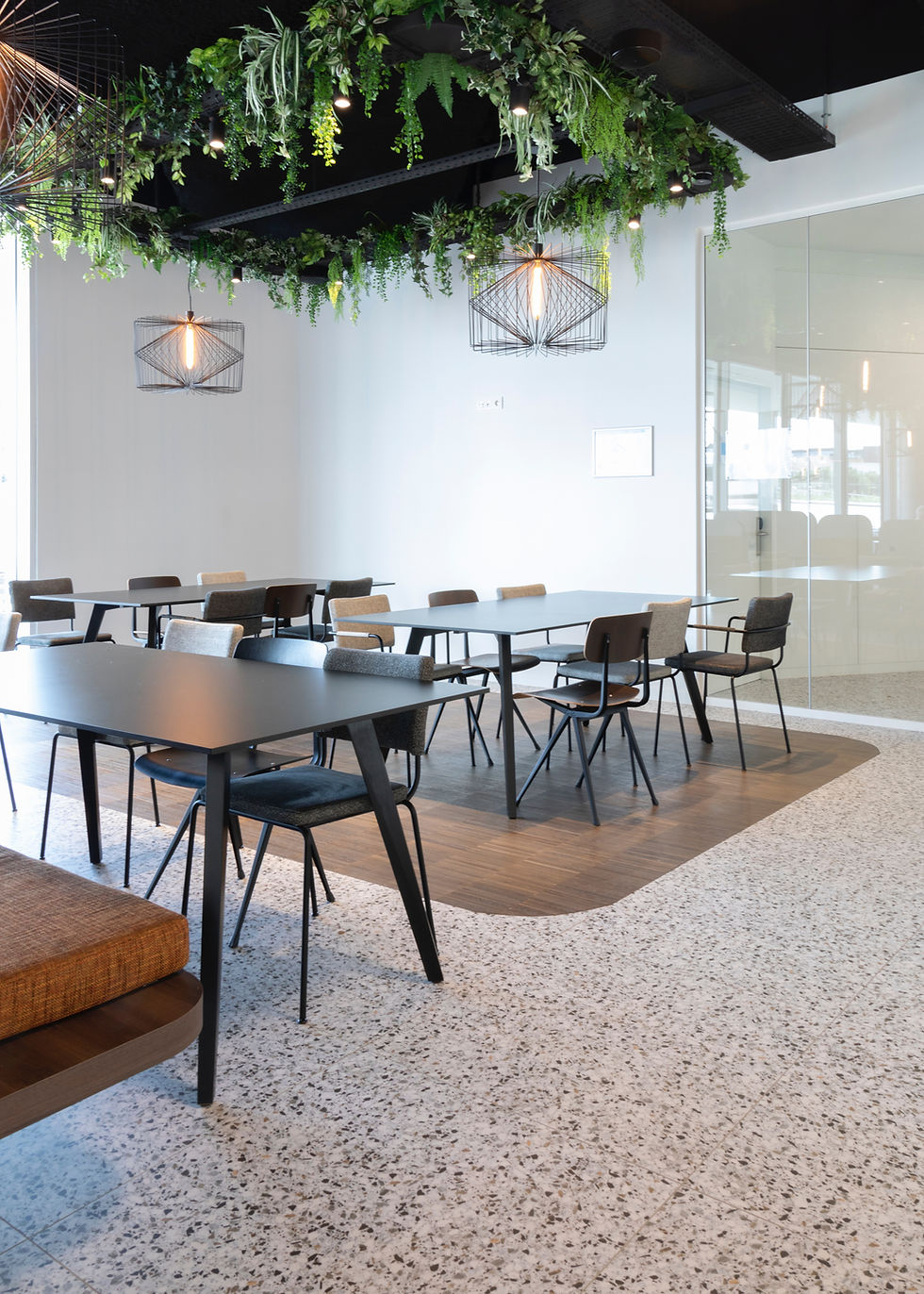 Modern Cafe Interior