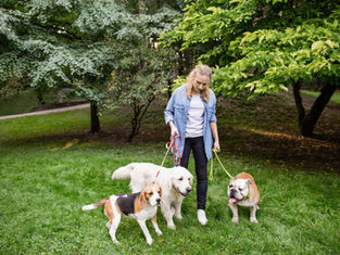 Since 2003, we've helped over 40,000 people just like you start and grow a profitable, professional pet-sitting business.