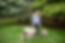 Marcheur de chien femelle