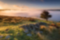 Autumn equinox sunrise with a hawthorn tree above valley fog. English Peak District