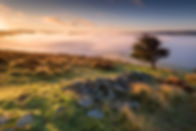 Autumn equinox sunrise with a hawthorn tree above valley fog. English Peak District