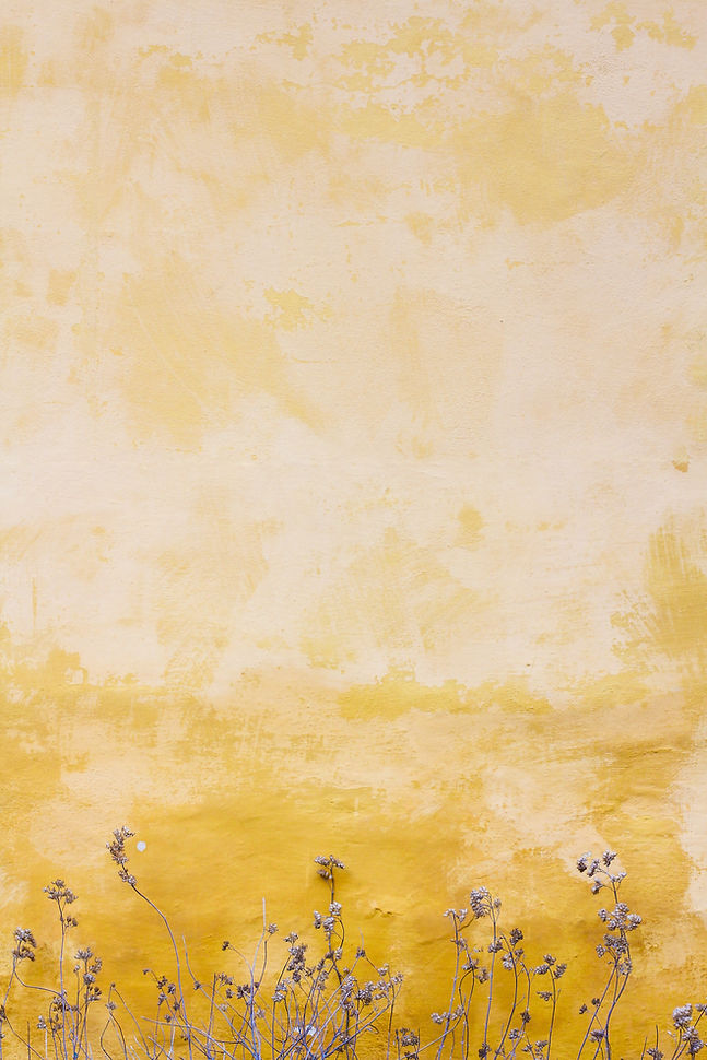 Textured Wall