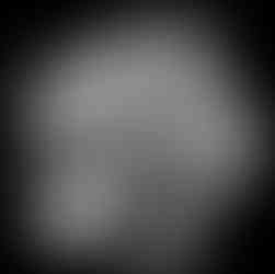 Flor blanca en fondo negro