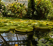 Jardim Botânico